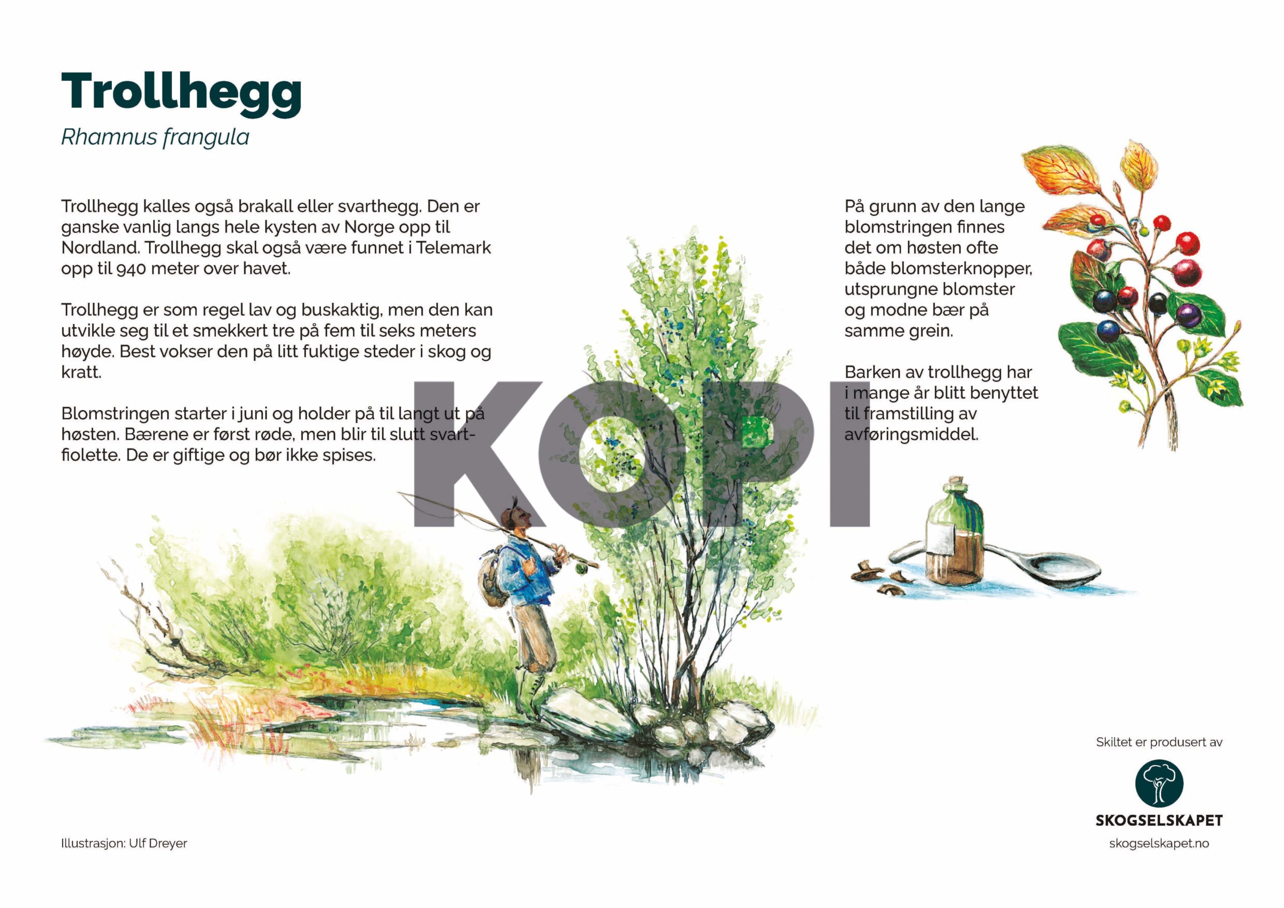 Trollhegg