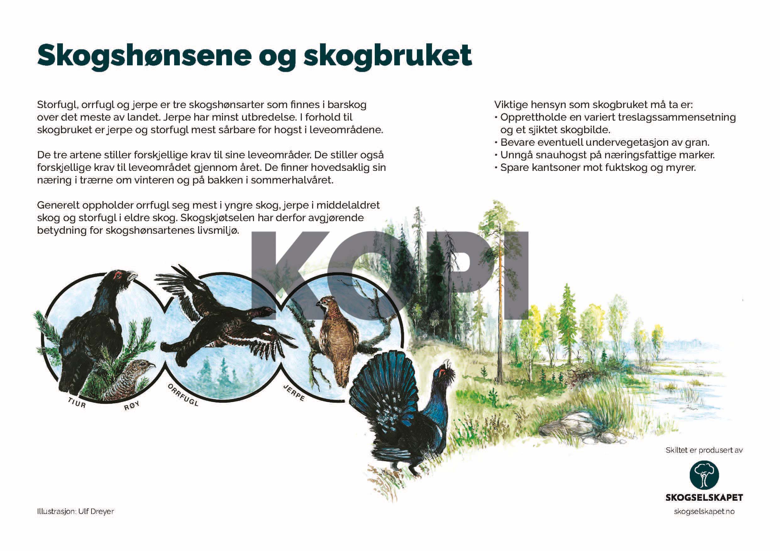 Skogshønsene og skogbruket