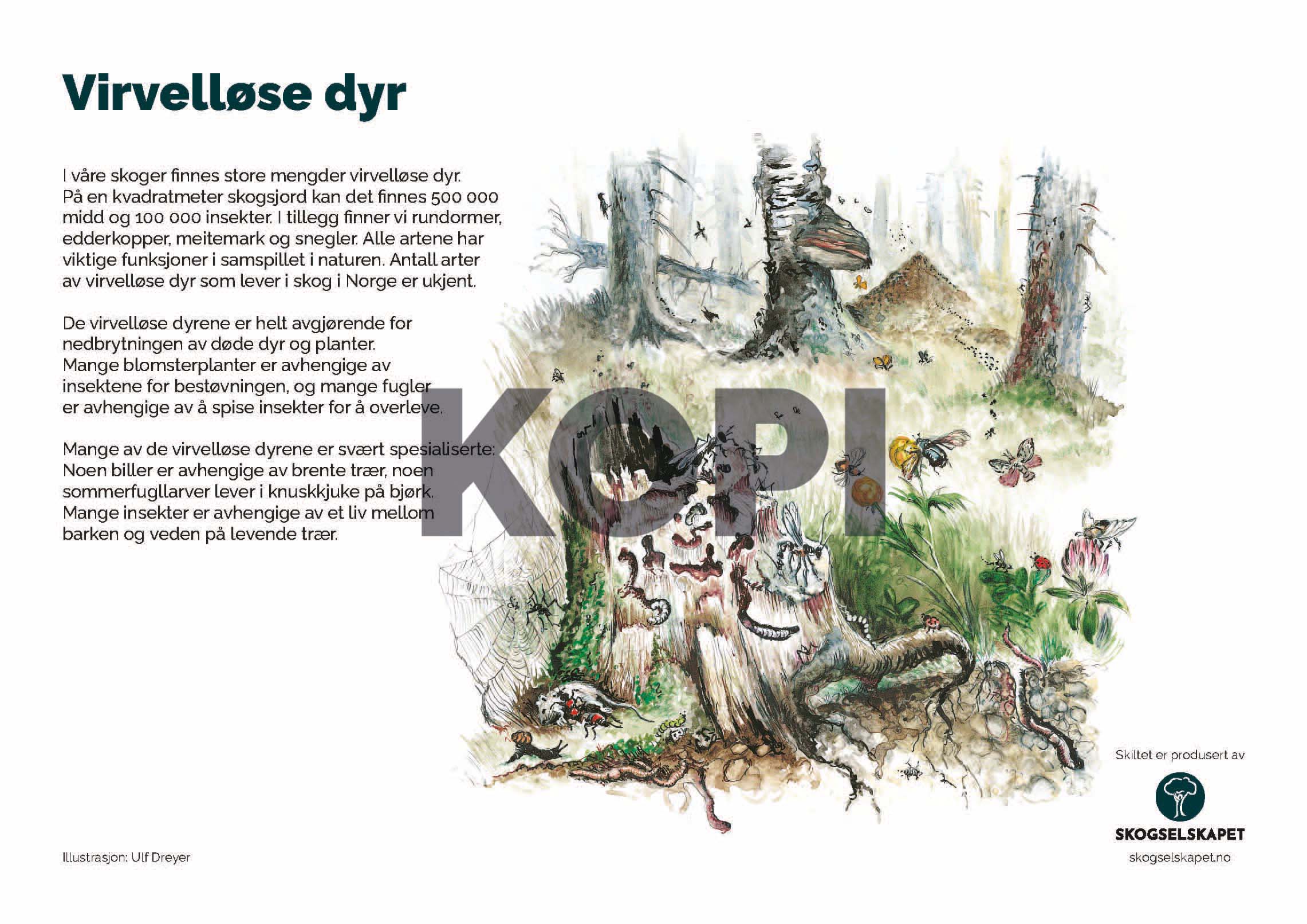 Virvelløse dyr