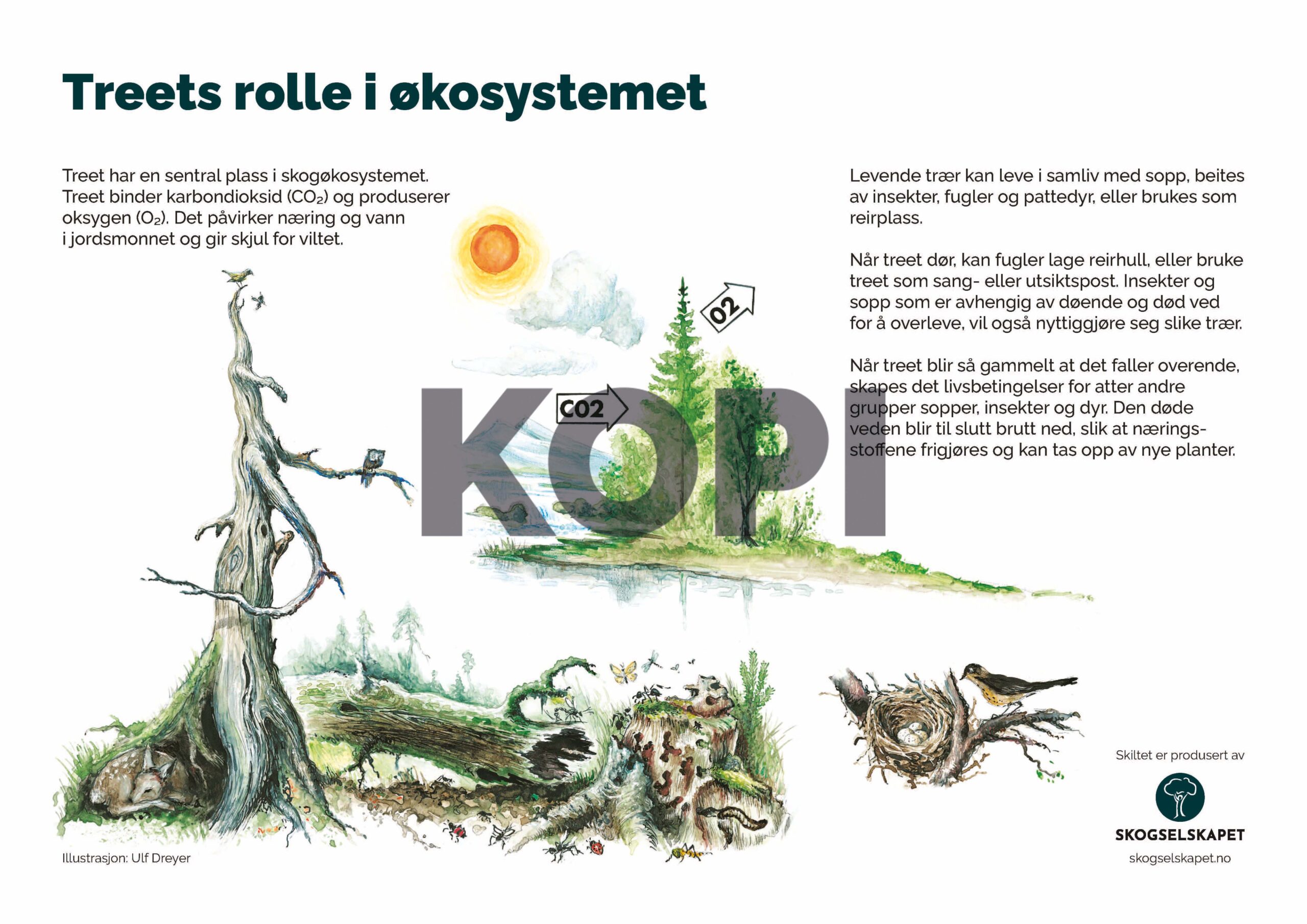 Treets rolle i økosystemet