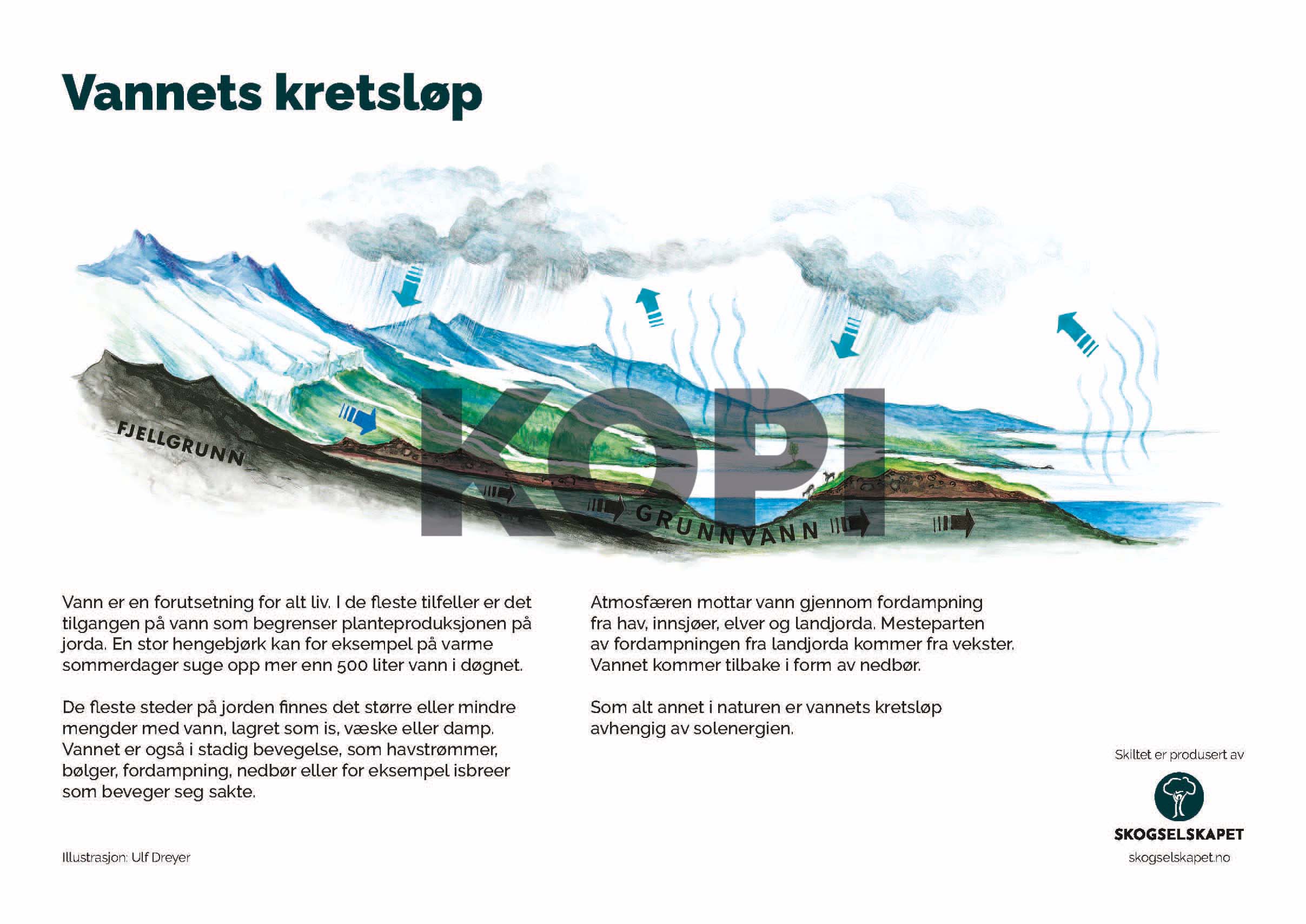 Vannets kretsløp