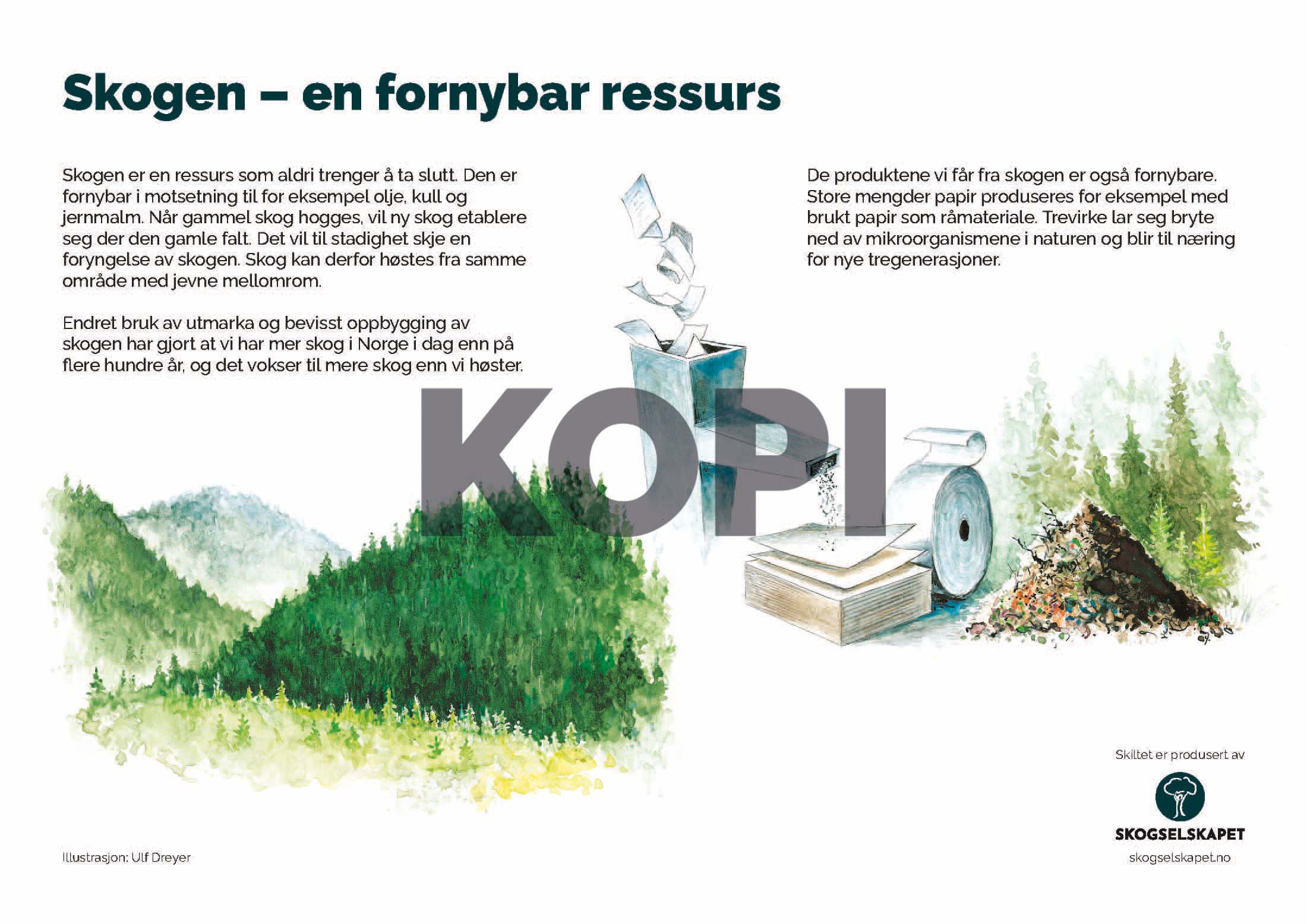 Skogen – en fornybar ressurs