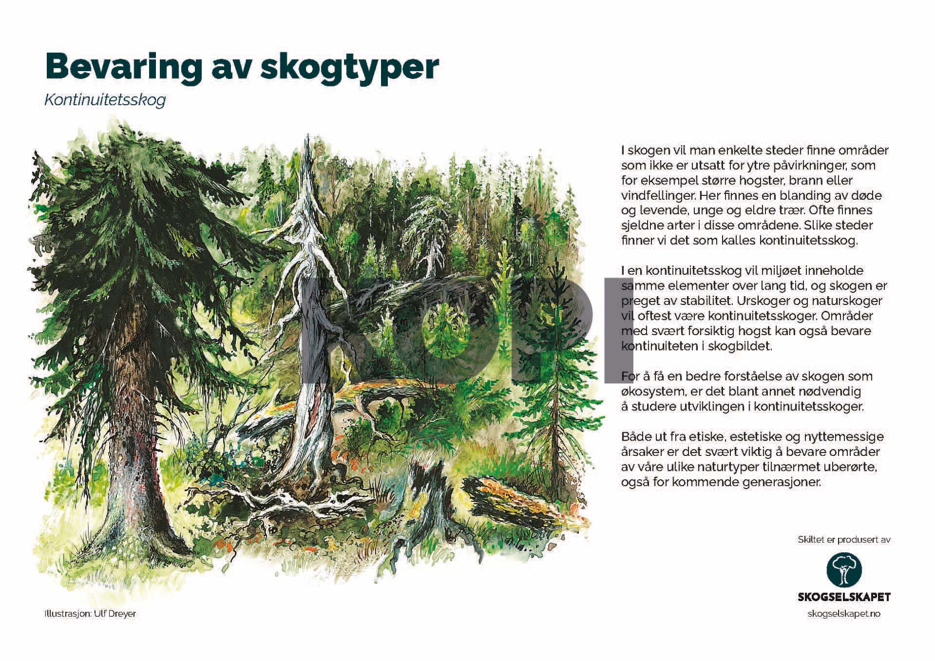 Bevaring av skogtyper