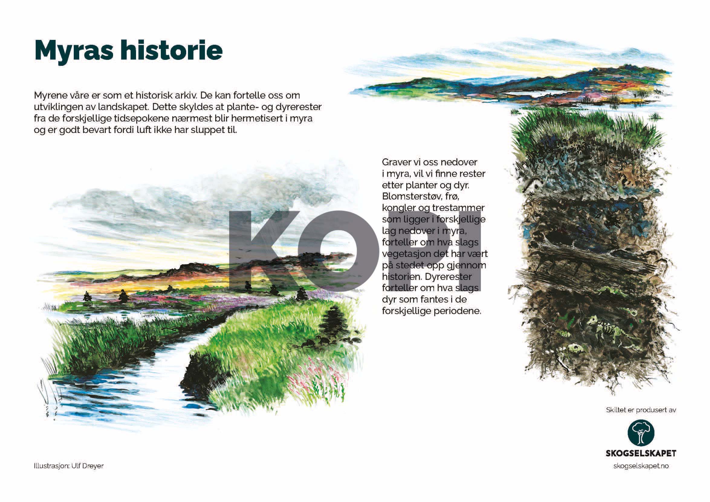 Myras historie