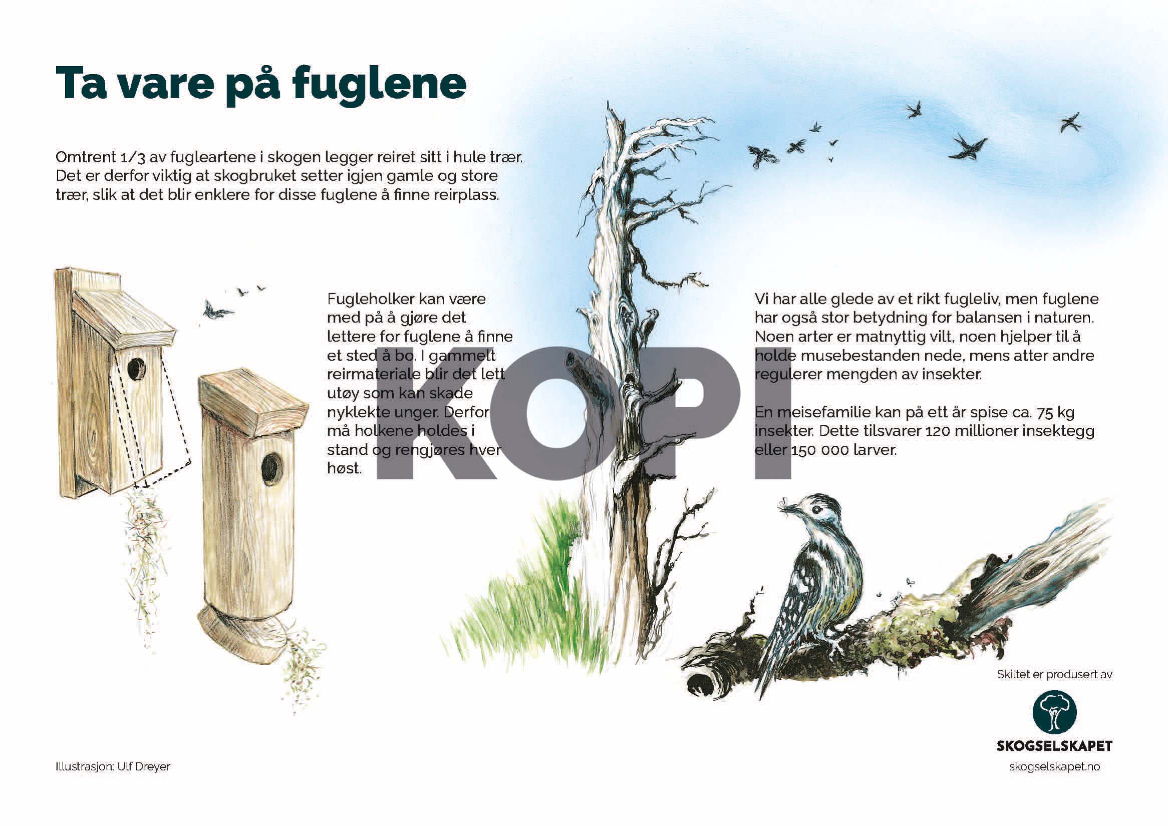 Ta vare på fuglene