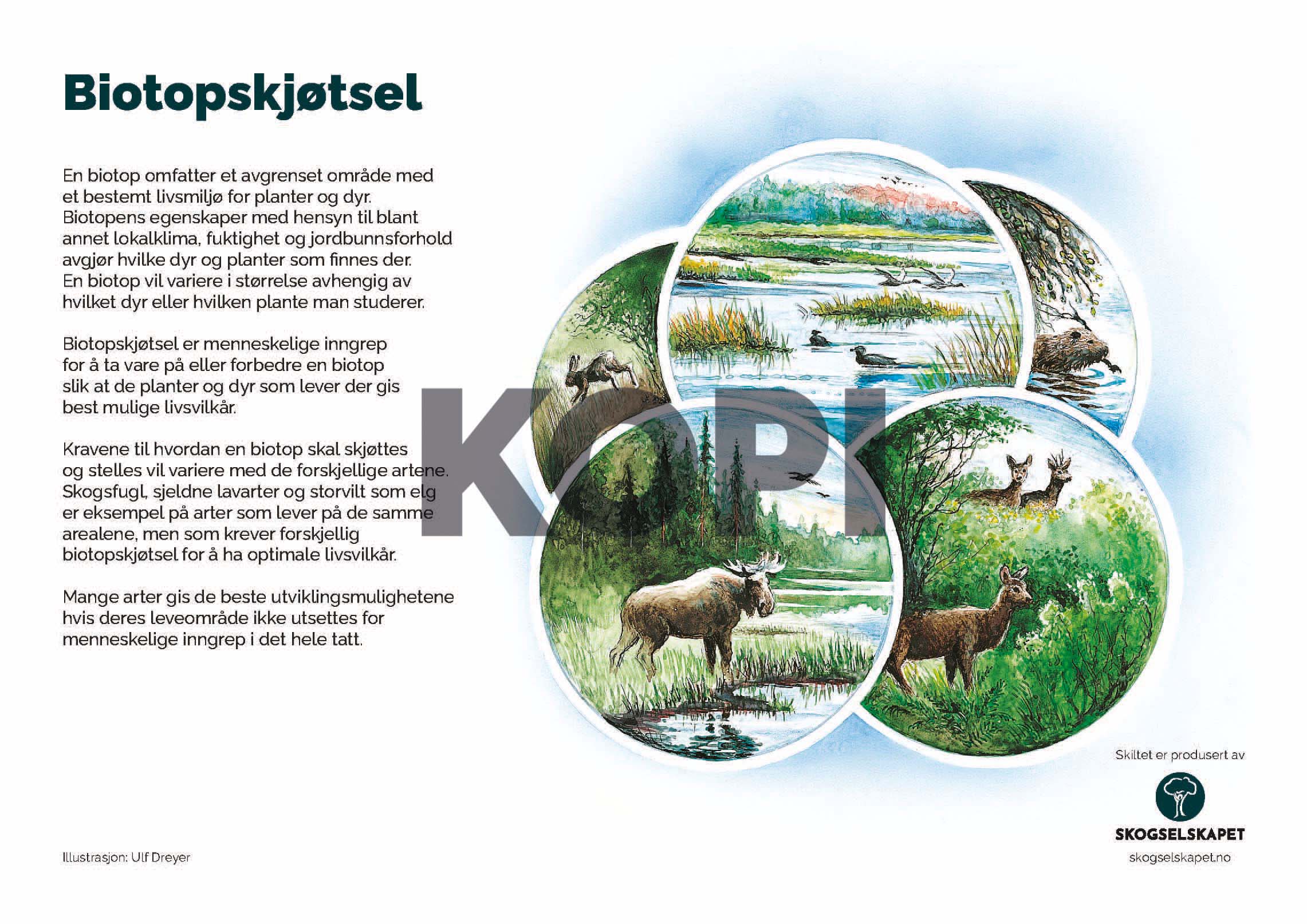 Biotopskjøtsel