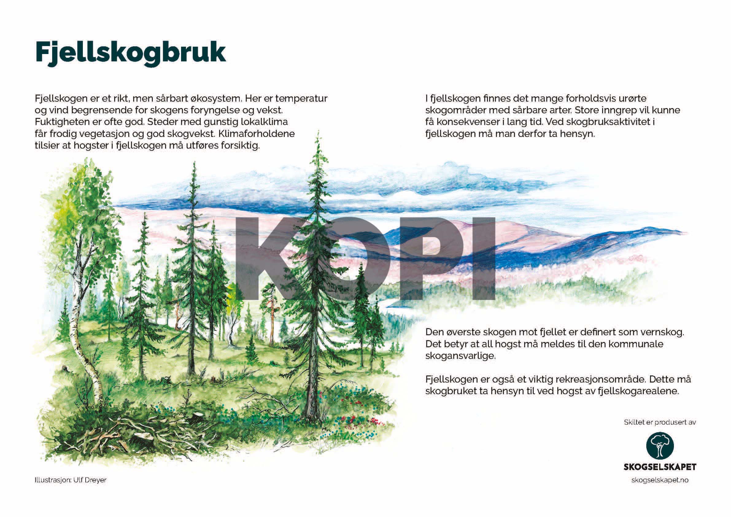 Fjellskogbruk