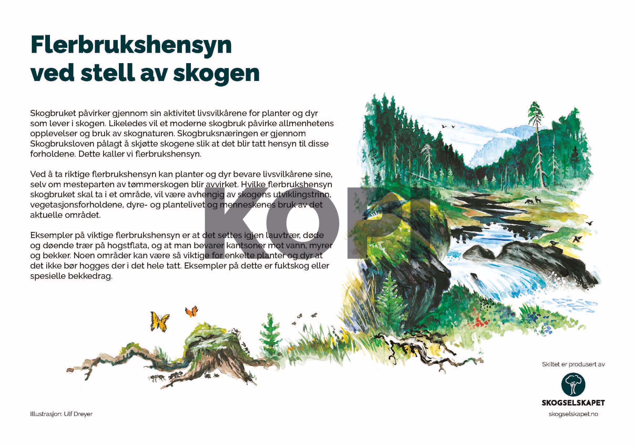 Flerbrukshensynved stell av skogen